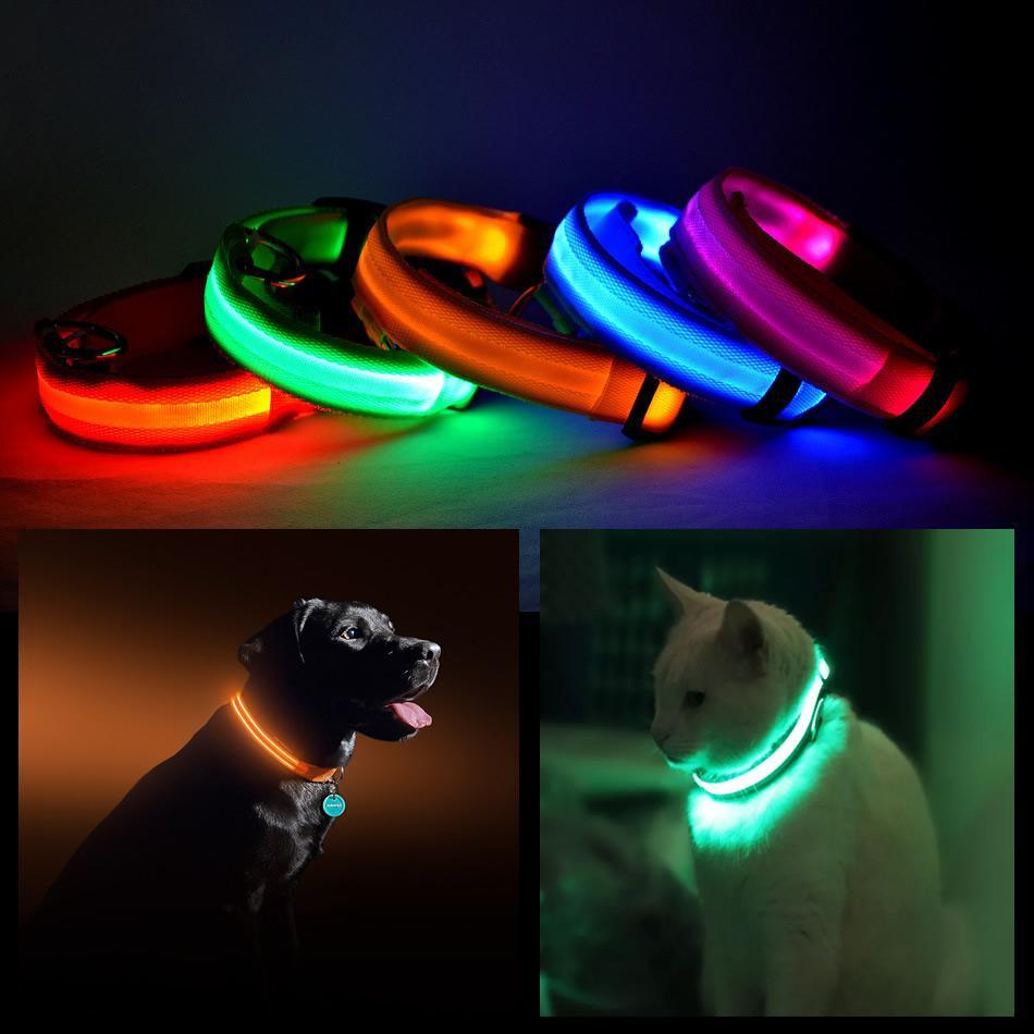 LED Pet Safety Halo Style Collar