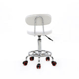 Adjustable Salon Stool