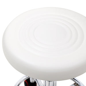 Adjustable Salon Stool