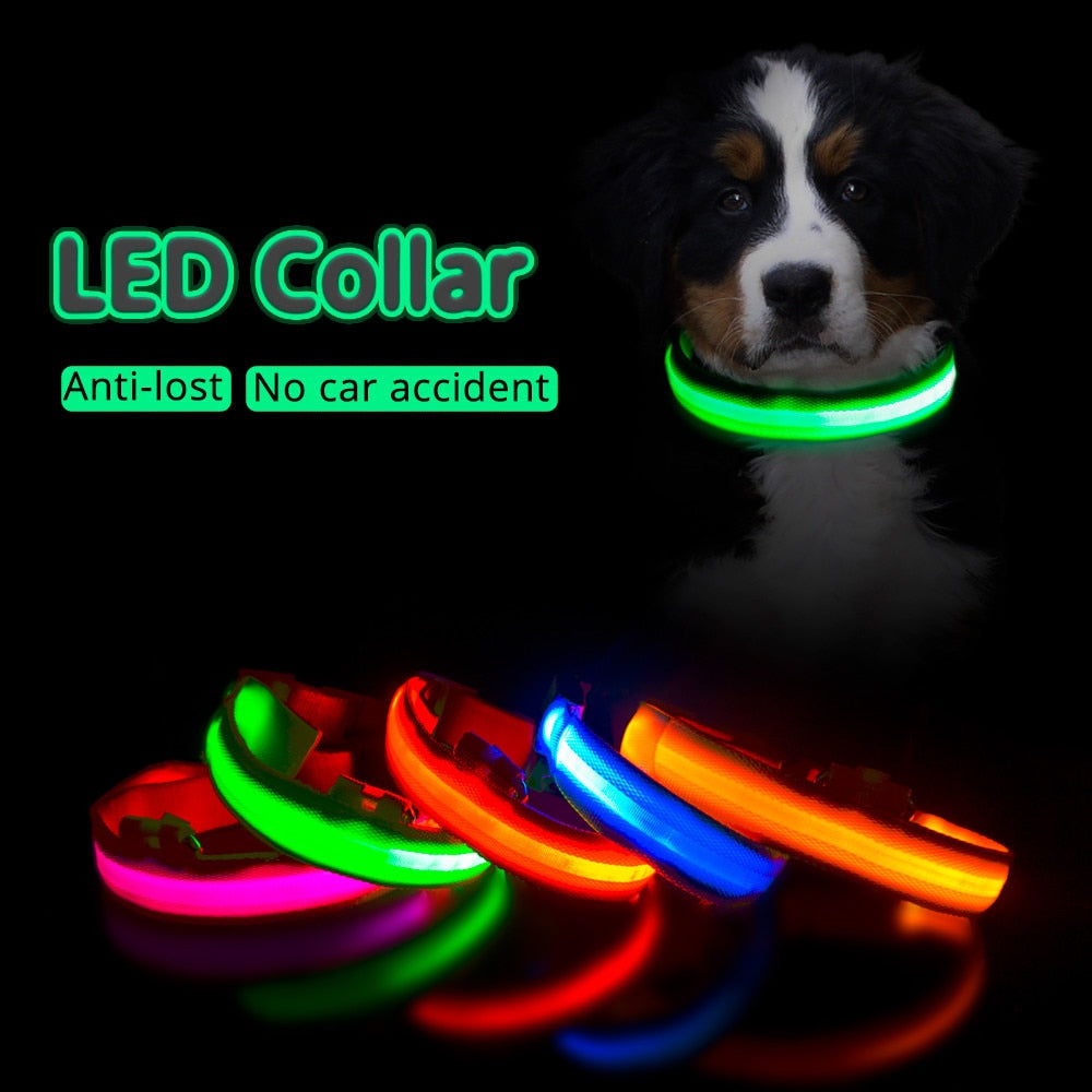 Anti-Lost Led Dog Collar