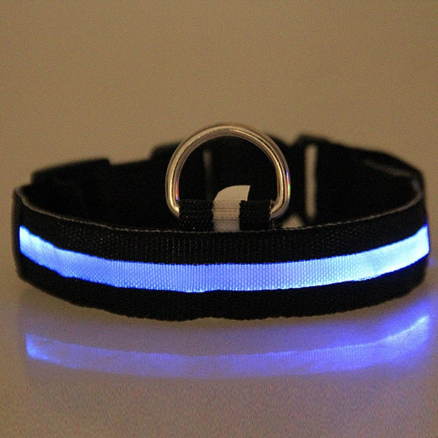 Anti-Lost Led Dog Collar