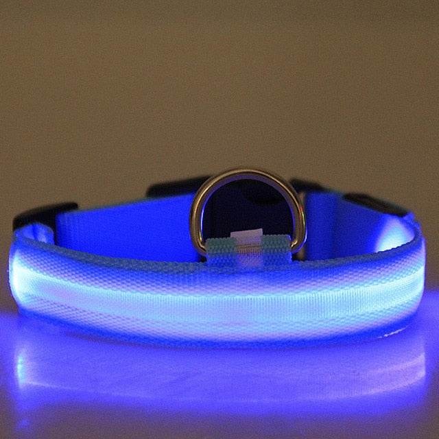 Anti-Lost Led Dog Collar