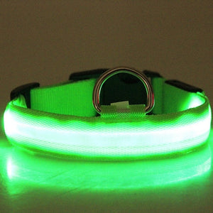 Anti-Lost Led Dog Collar
