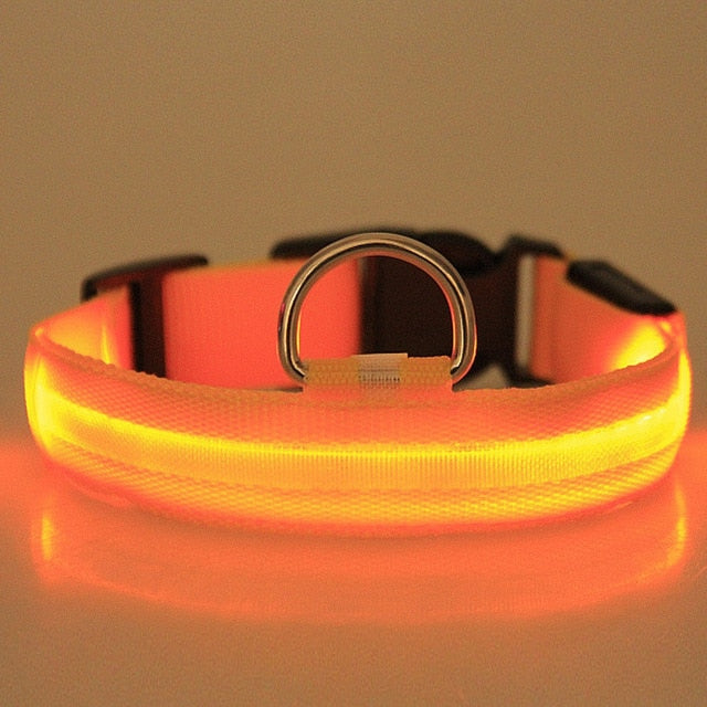 Anti-Lost Led Dog Collar