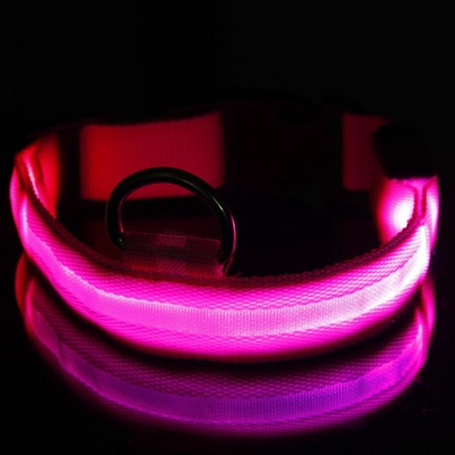 Anti-Lost Led Dog Collar