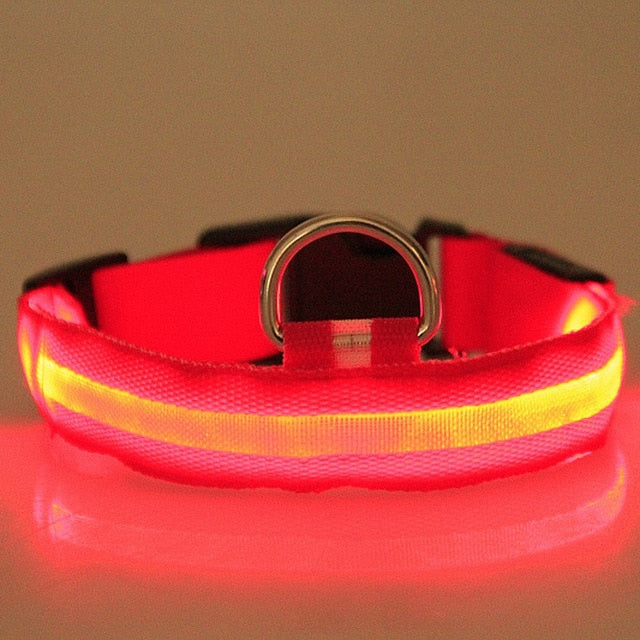 Anti-Lost Led Dog Collar