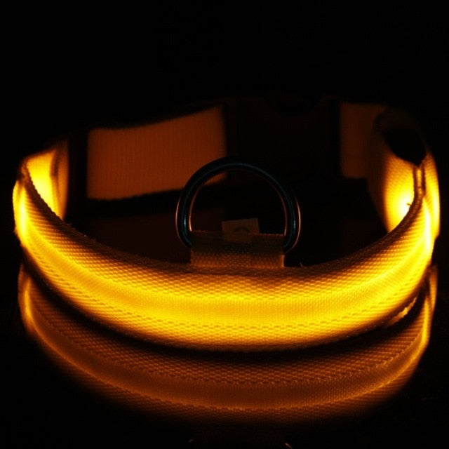 Anti-Lost Led Dog Collar