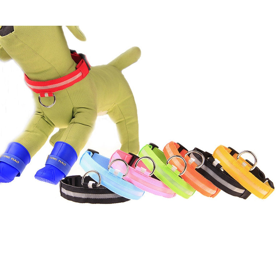 Anti-Lost Led Dog Collar